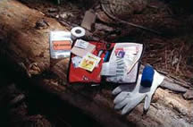 Wilderness First Aid