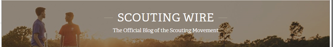 Scouting Wire Logo