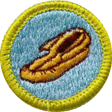 Merit Badge List