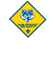 Cub Scouts