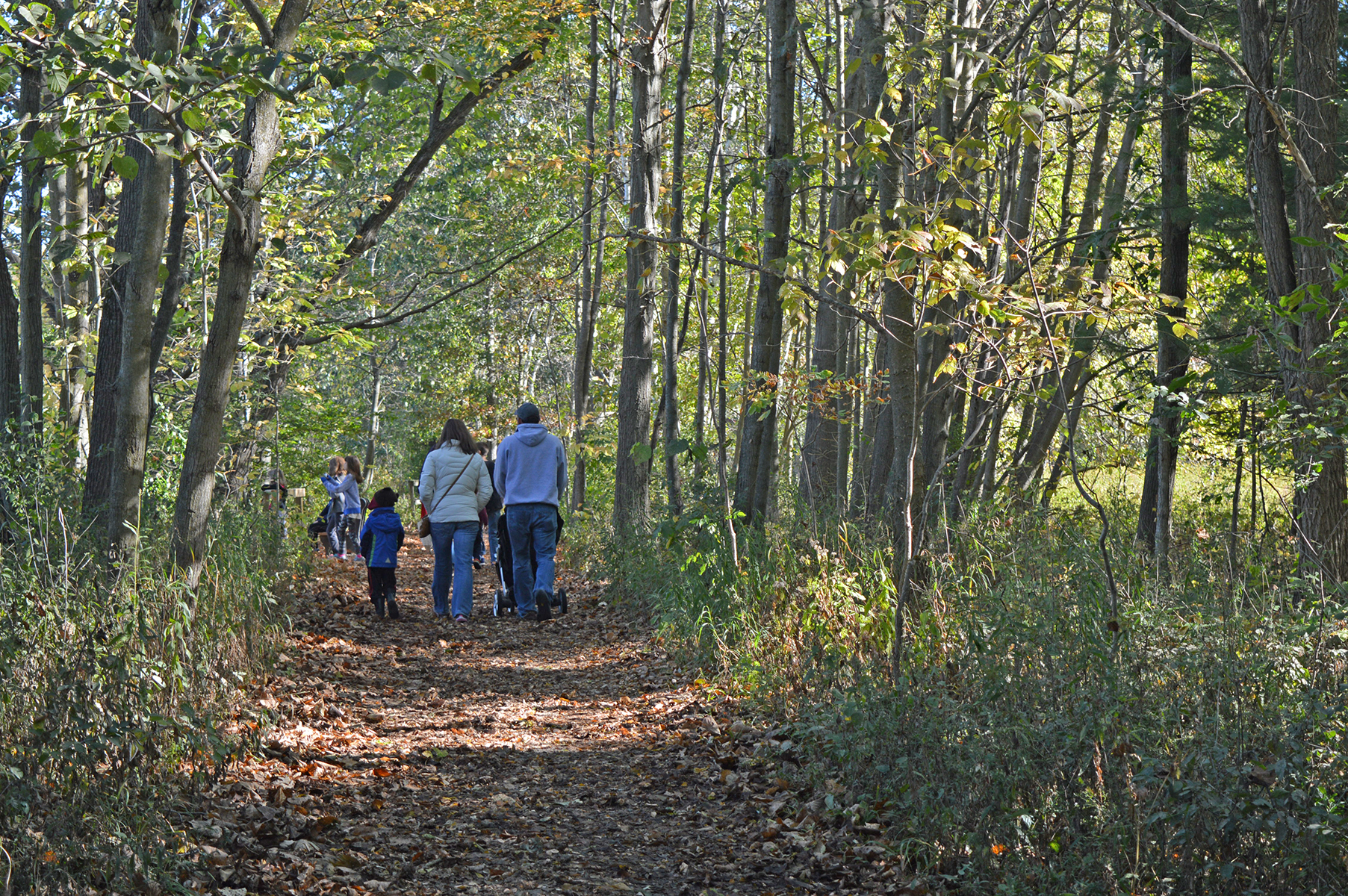 Two adult and one child visitor hiking on leaf covered trail in fall