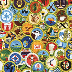 Merit Badge Information