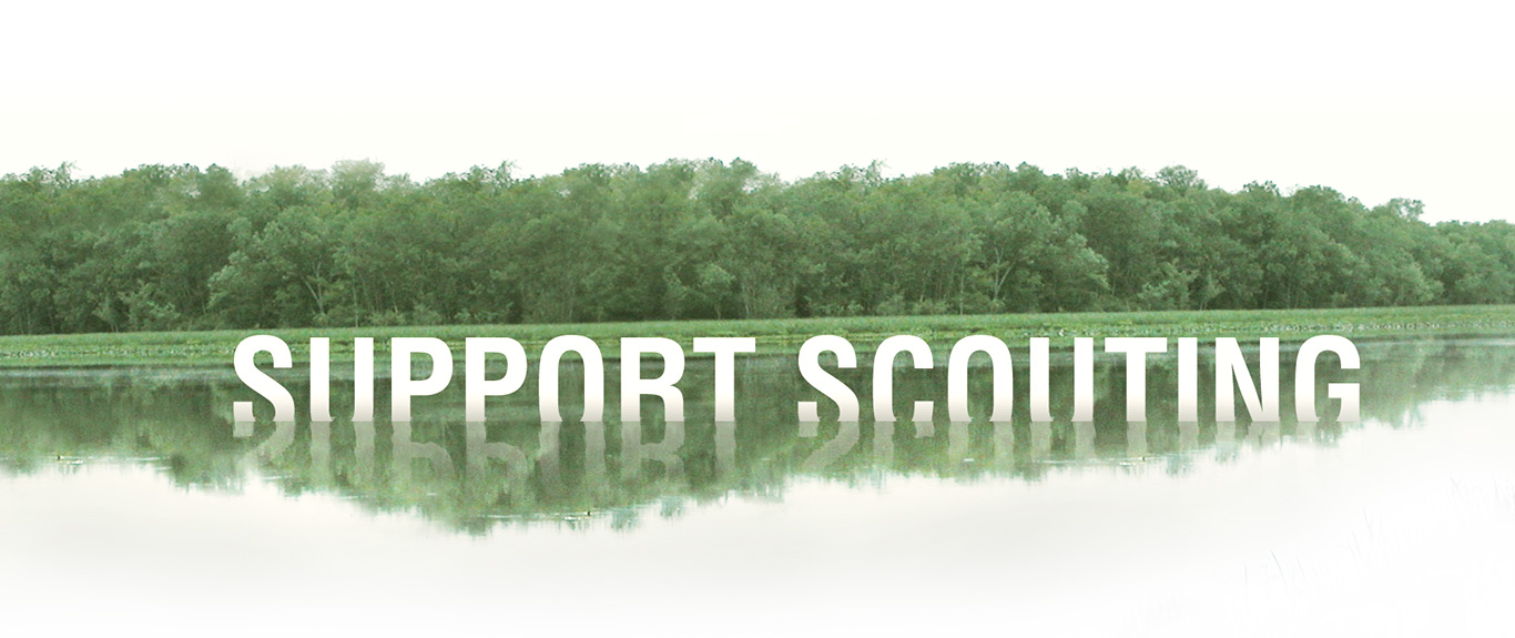Support Scouting