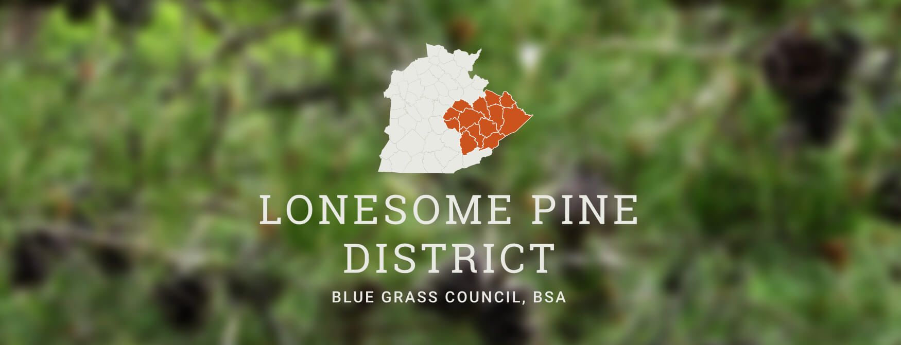 Lonesome Pine District