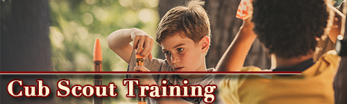 cub scout training