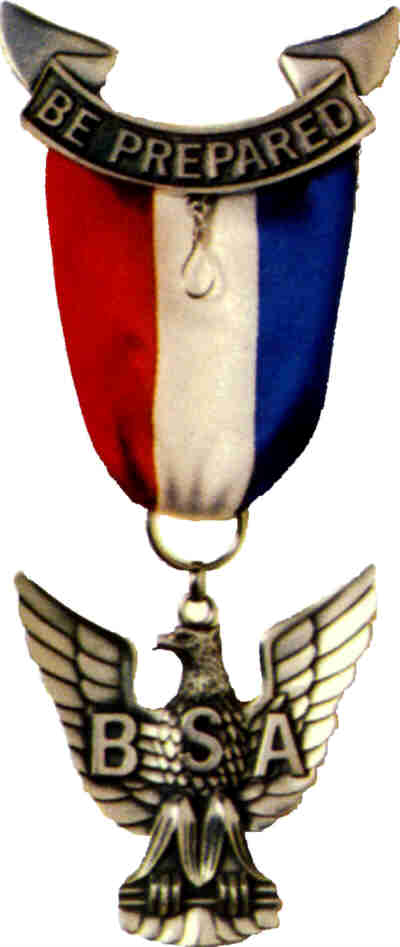 Boy Scout BSA Eagle Medal Award Replica Pin First Badge Gift Merit Rank Uniform 