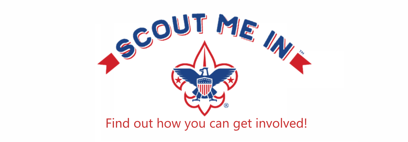 Boy Scouts Of America Rank Advancement Chart