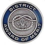 District Award of Merit Pin