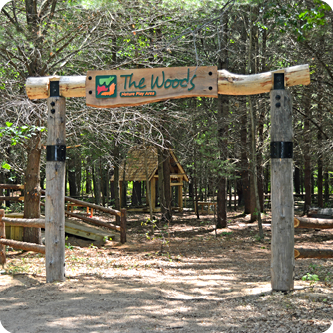 The Woods Nature Play Area at CNC