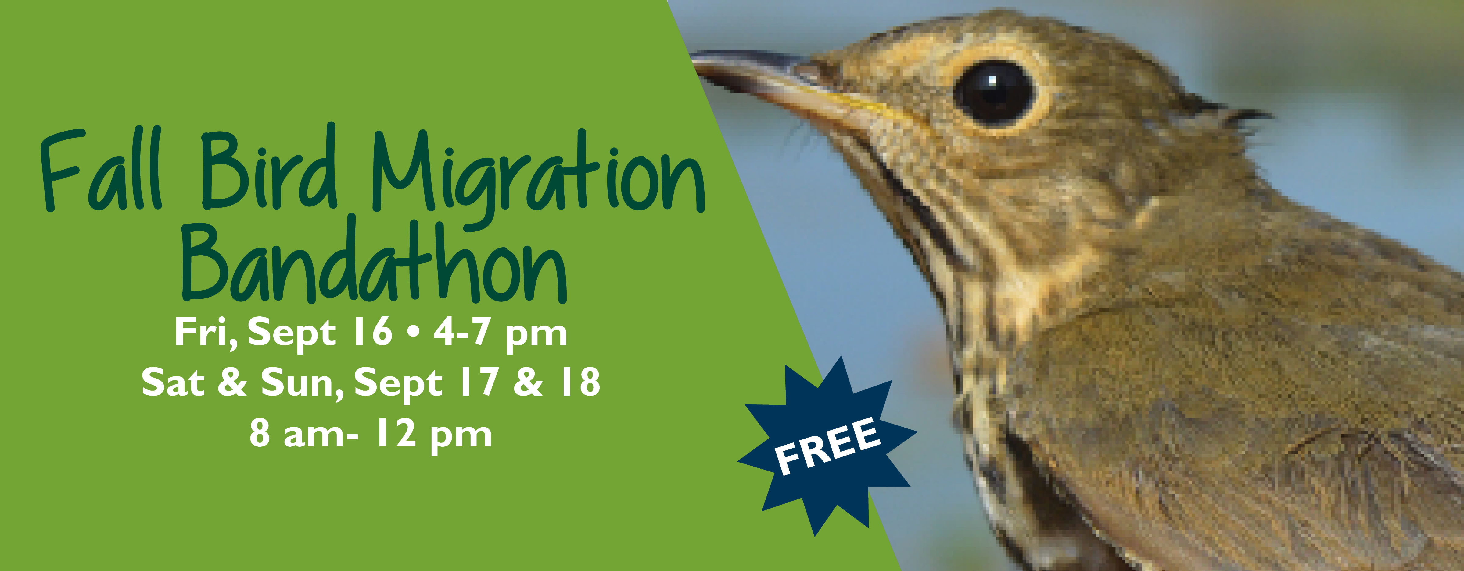 Fall Bird Migration Bandathon, Fri-Sun, Sept 16-18