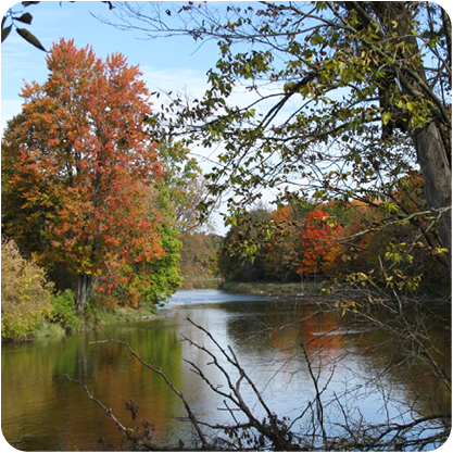 Upper Chippewa River Kayak