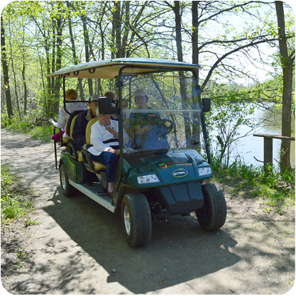 Fall Colors by Golf Cart