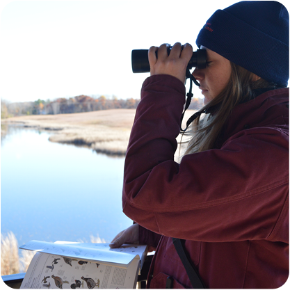 Tawas Area Birding
