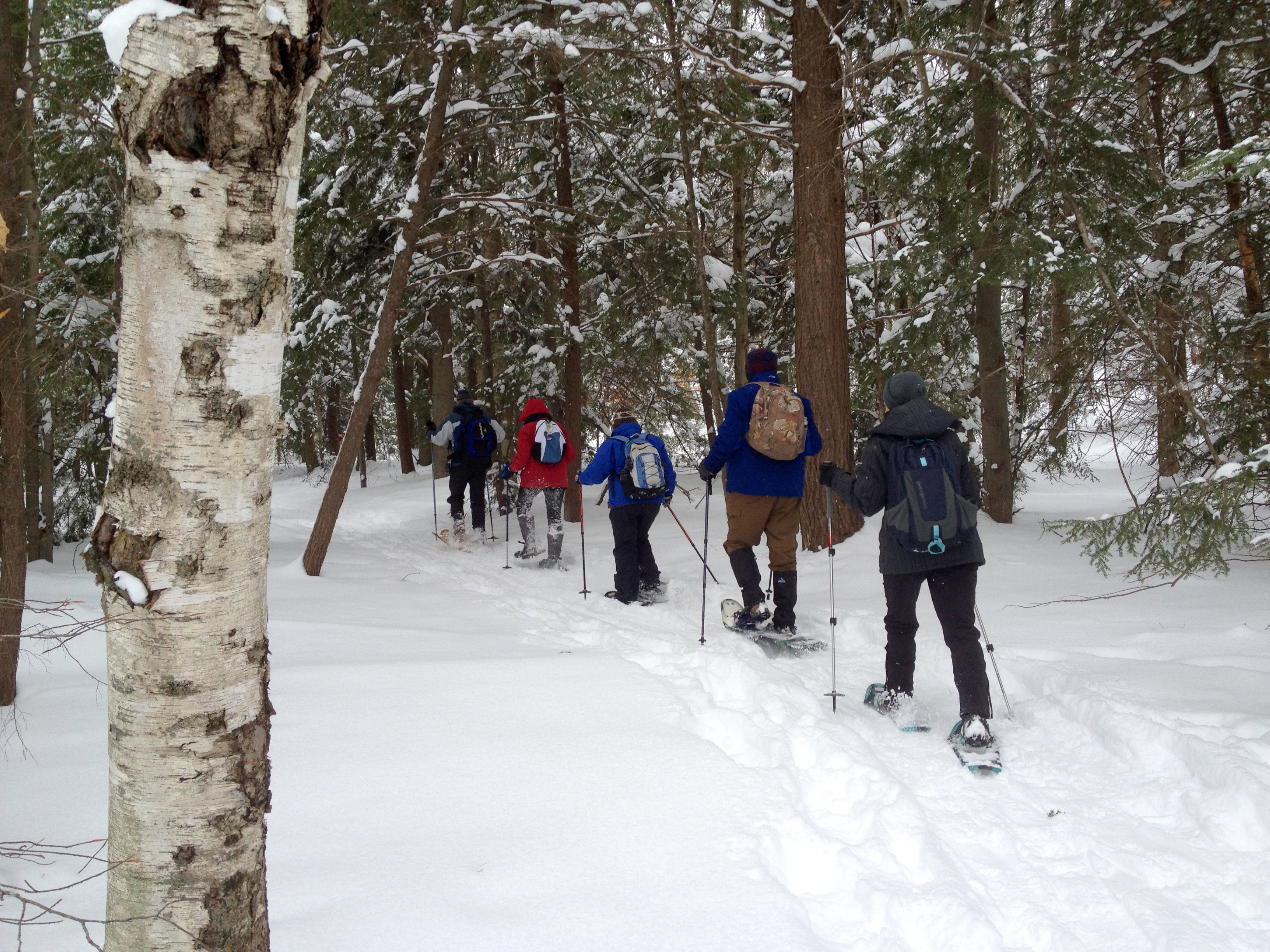 snowshoe hike