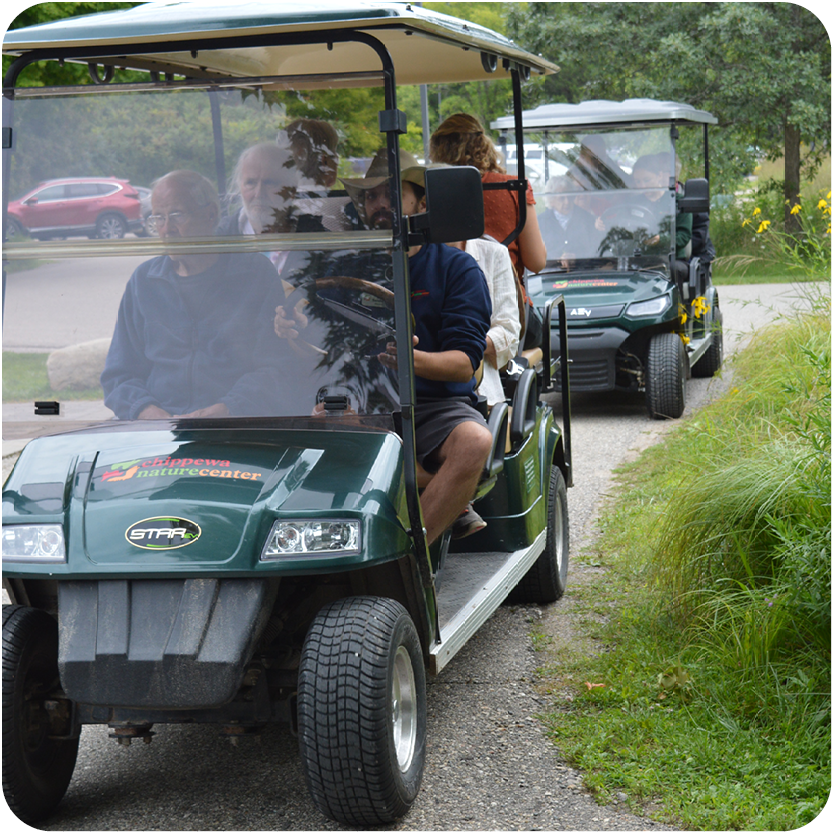 Group on Golf Cart Tour 