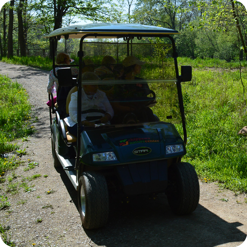 Group on Golf Cart Tour 