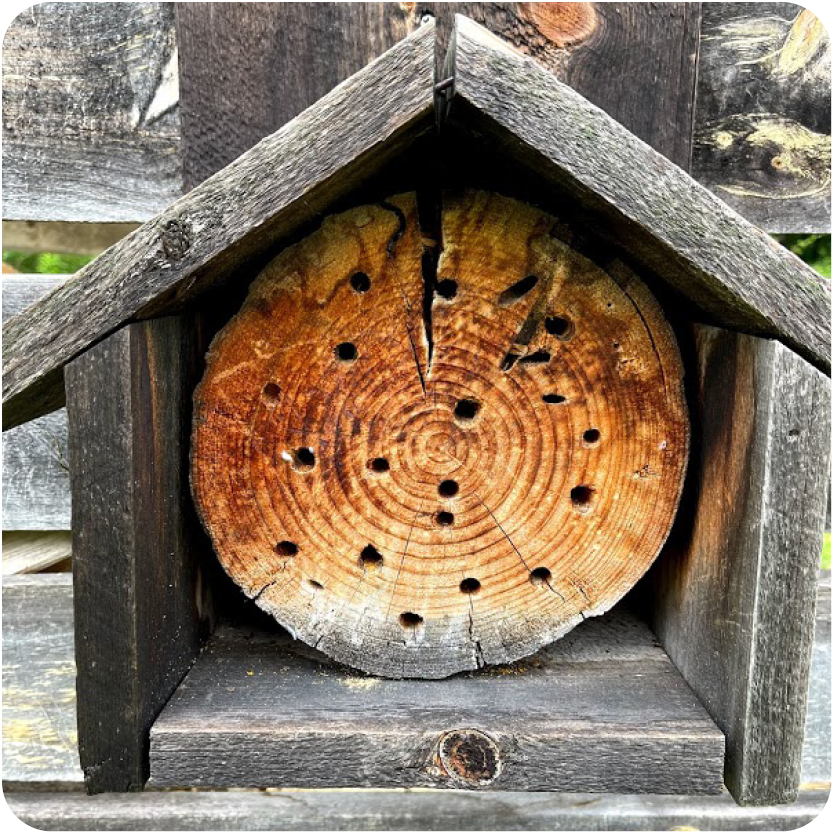 Bee hotel - Wooden