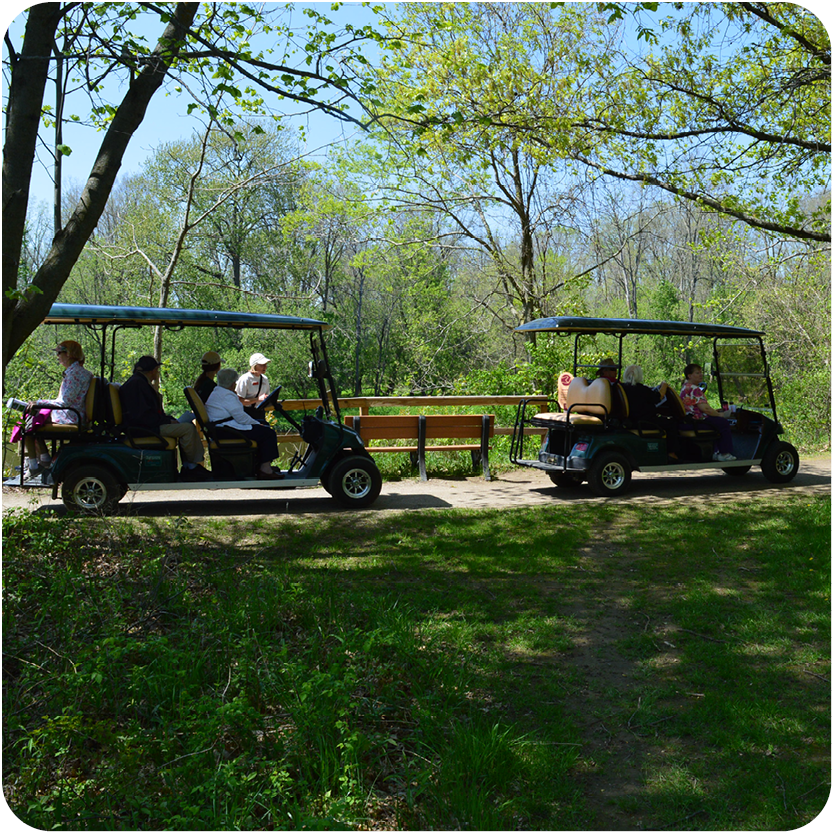 Birdability by Golf Cart
