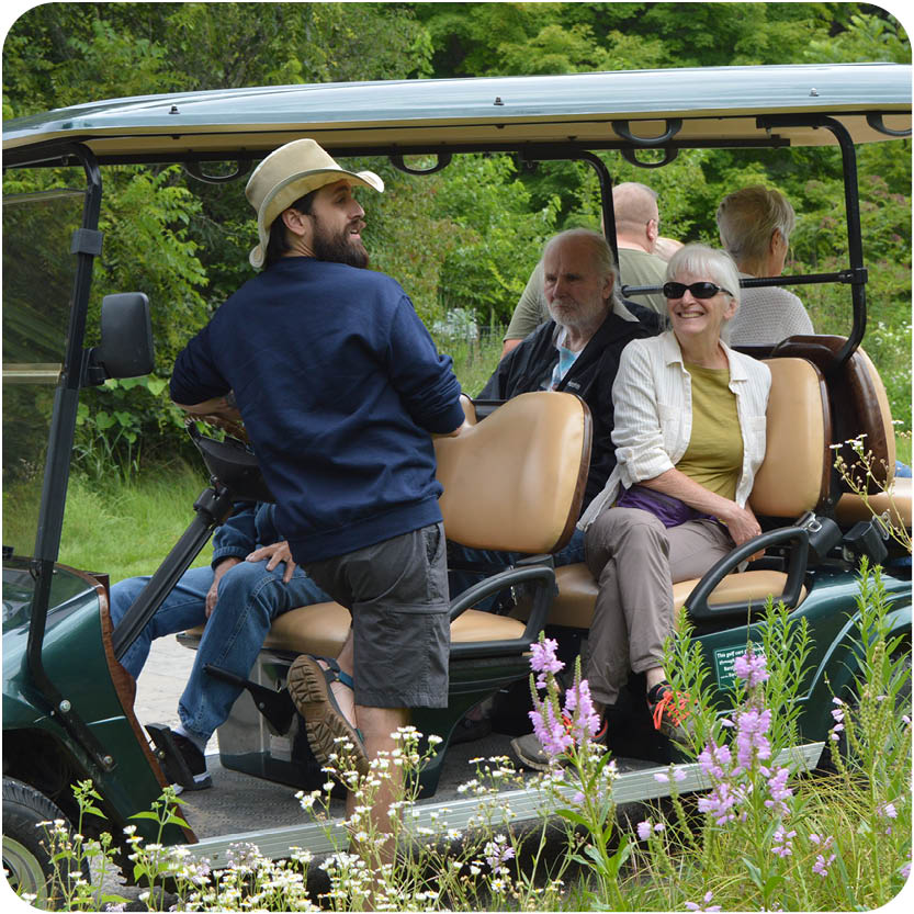 Fall Colors by Golf Cart
