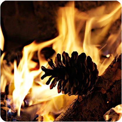 Stories by the Fire