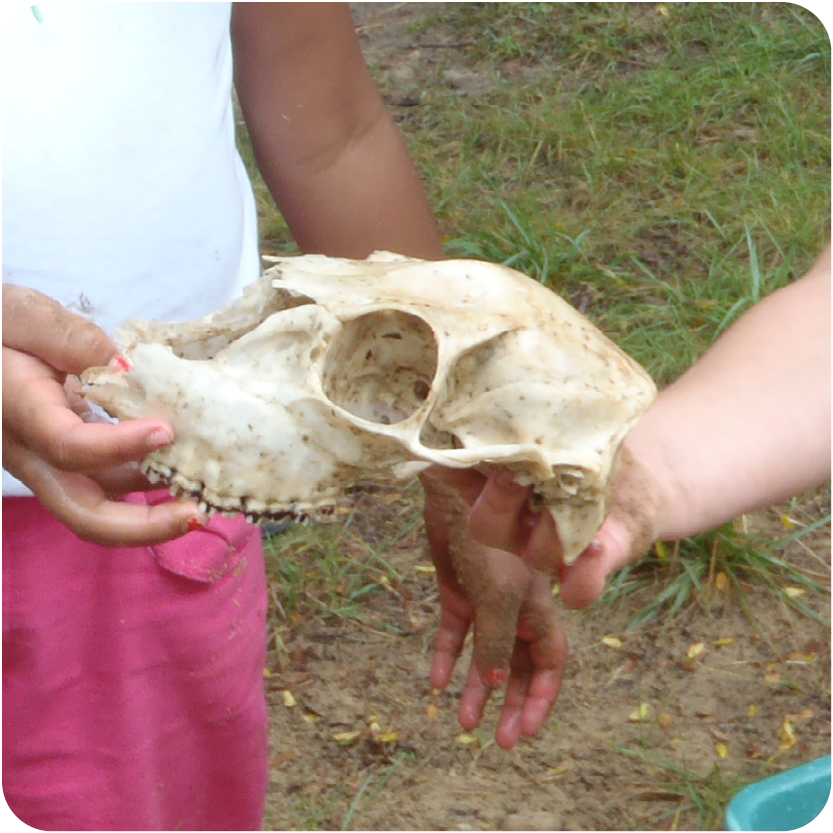 Two Girls Holding an animal skull 