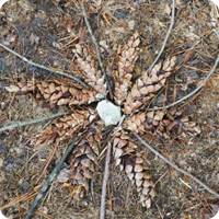 Ephemeral Eco Art