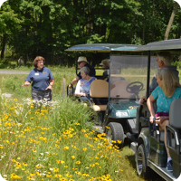 Forest Therapy Golf Cart Tour: Reawakening and Growth