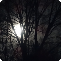 Full Moon 