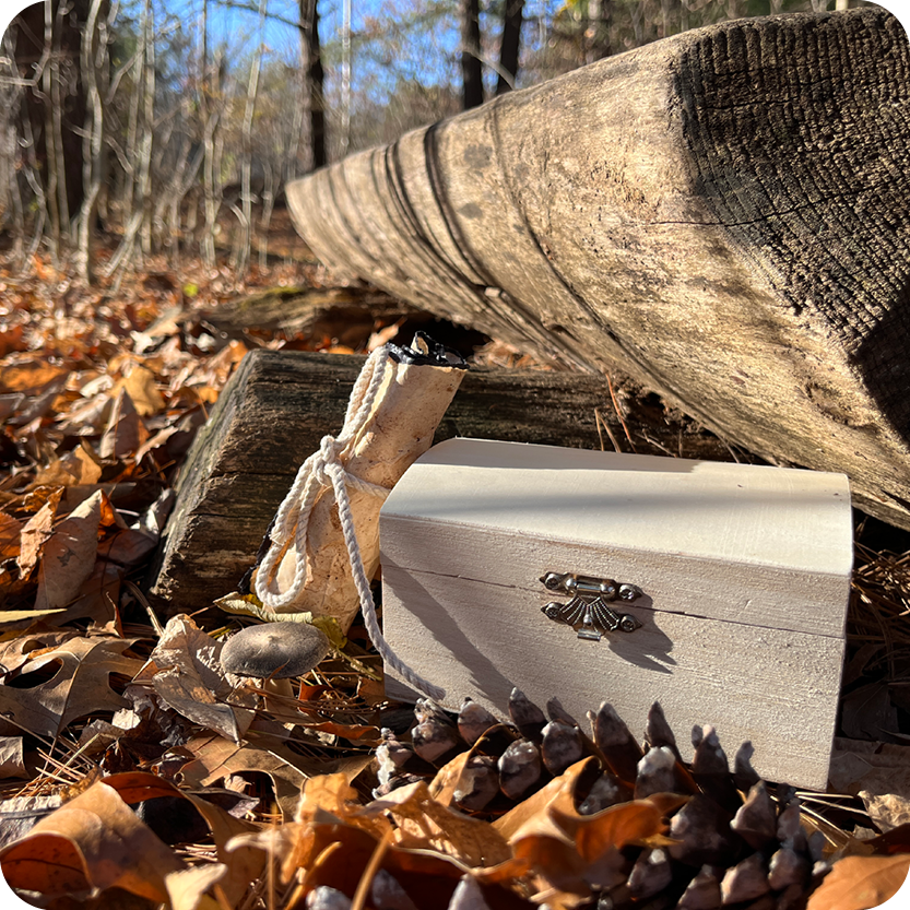 Geocaching box against a tree in the woods