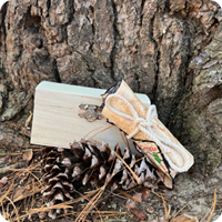 Geocaching box against a tree in the woods