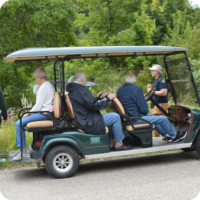 History Tour Golf Cart