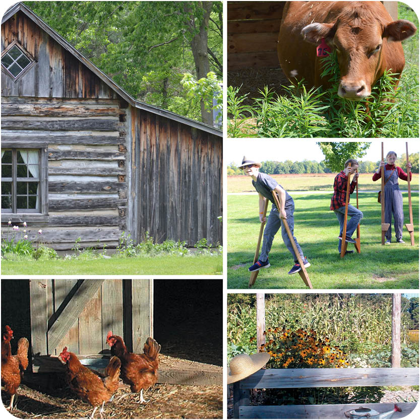 Homestead Sundays Photo Collage of log cabin, animals plants and children playing