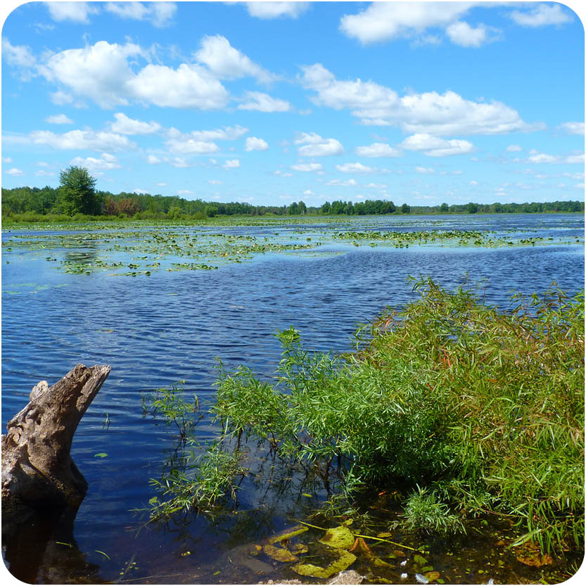 flooding on Kawkawlin River on a sunny day with blue skies and white fluffy clouds