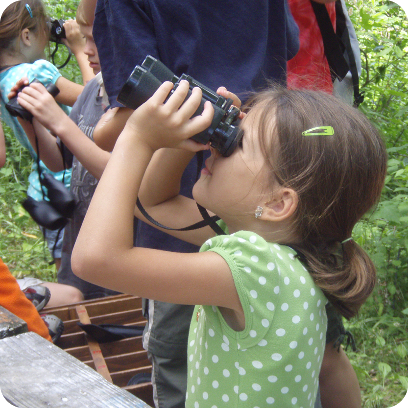 Intro to Birding for Kids