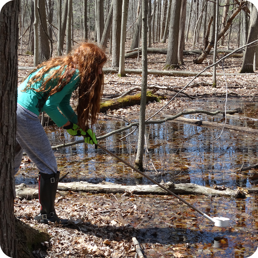 Vernal Pool Visit