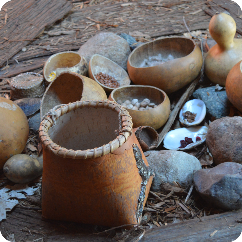 Natural Resource Use by Indigenous People