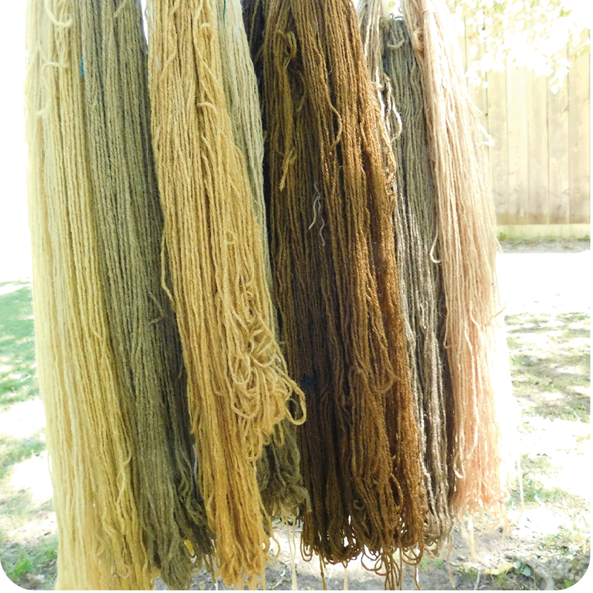 Intro to Working with Plant Based Natural Dyes