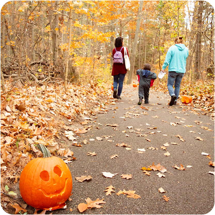 Nature at Night - family walking hand in hand down trail with pumpkins on side of trail