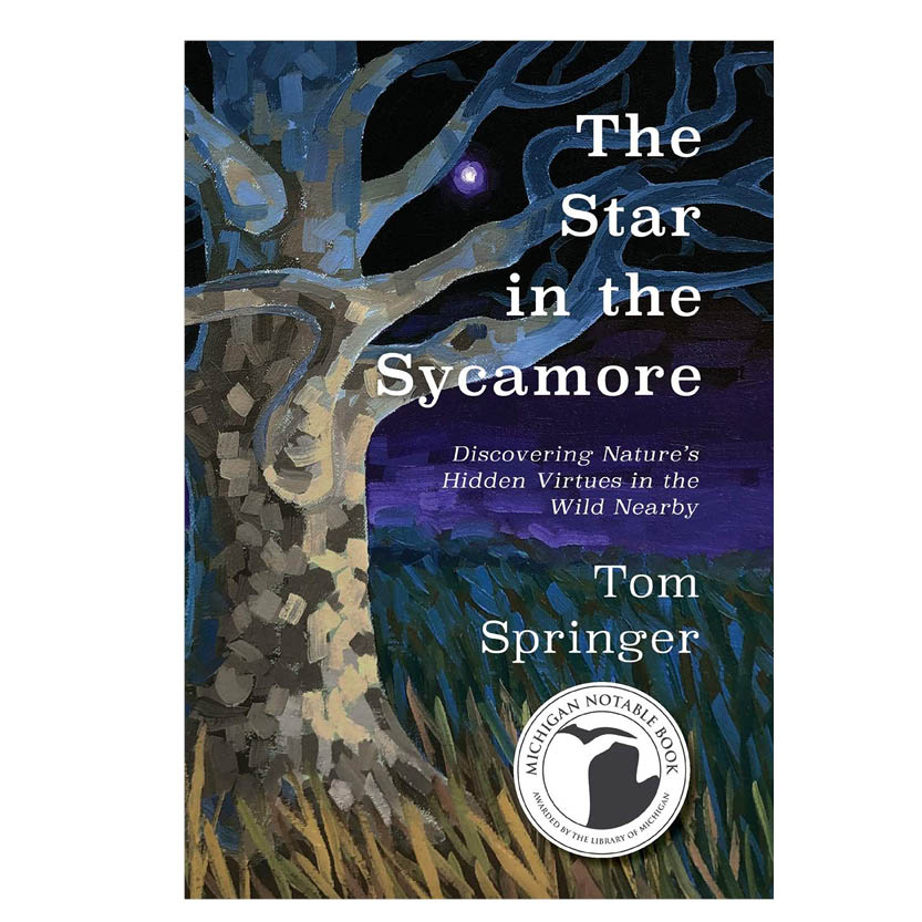 Star in the Sycamore Book Cover