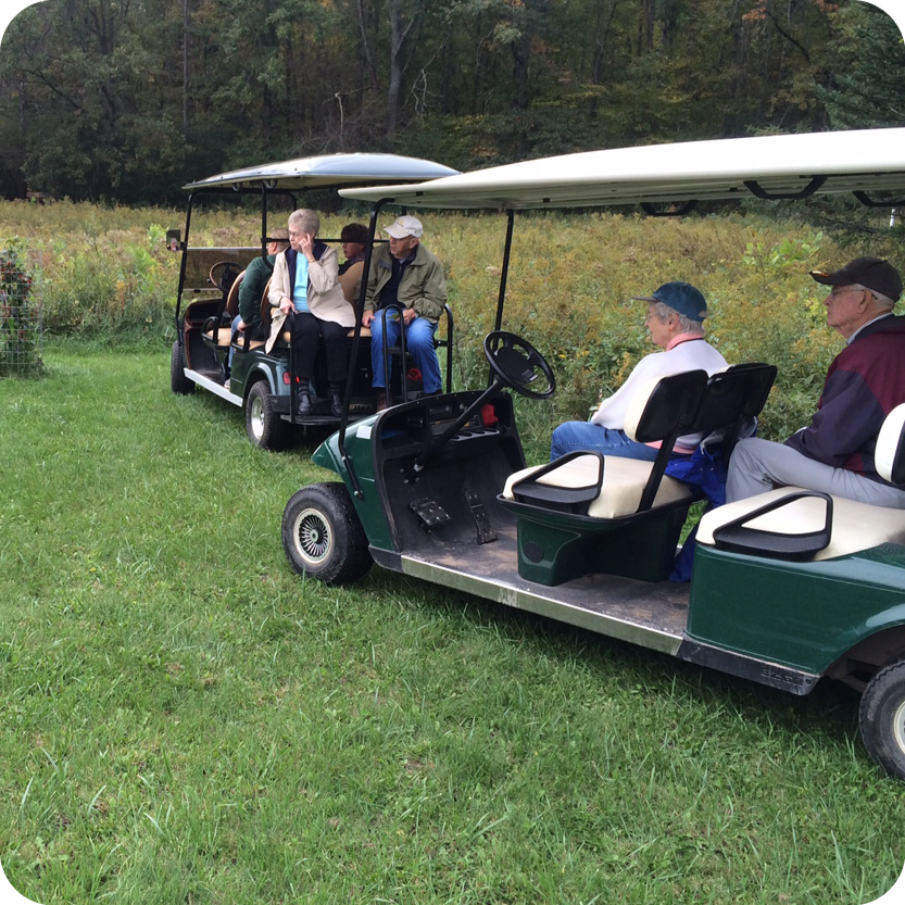 Nature Tour by Golf Cart
