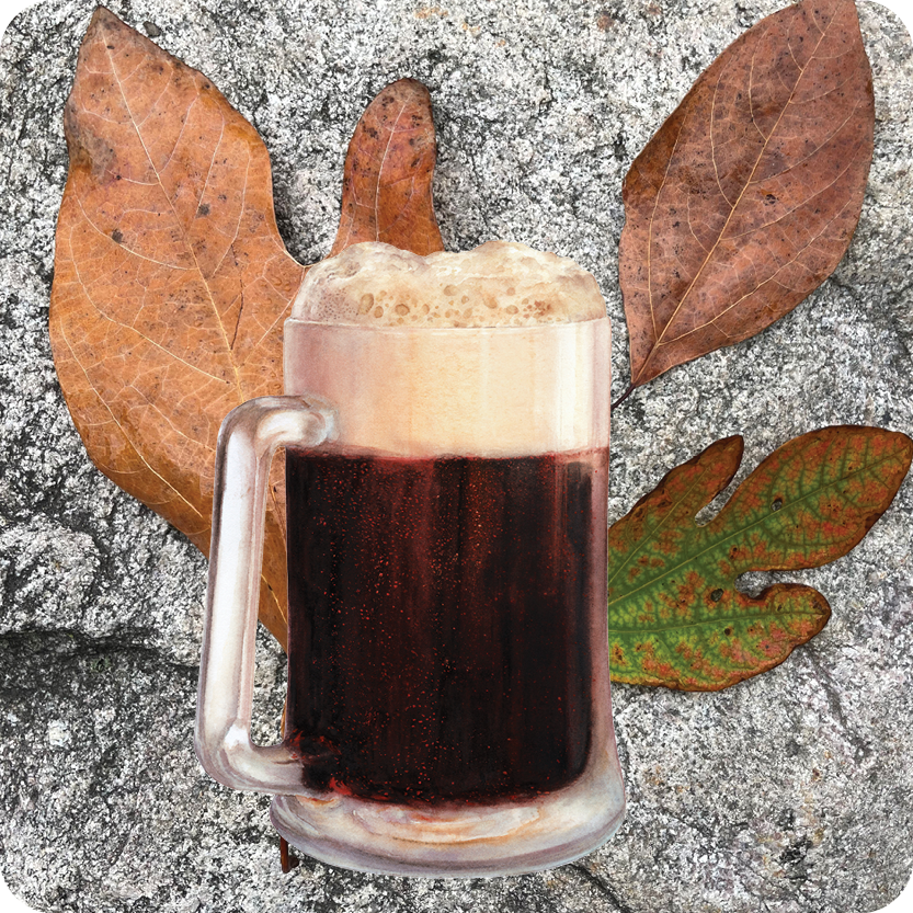 Nature of Root Beer