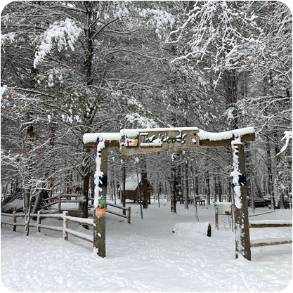 Nature play area in the woods covered in snow