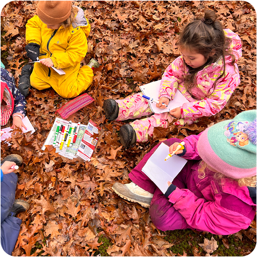 Group of young children drawing and reading in the fall leaves