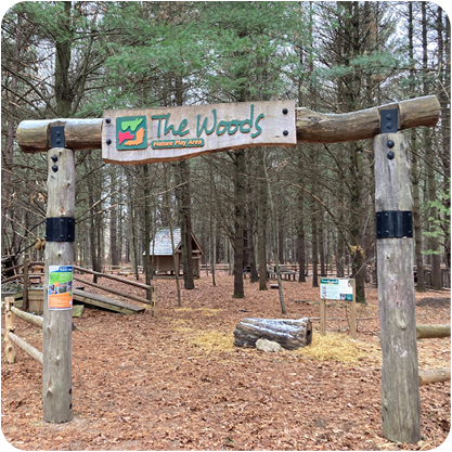 Nature Woods