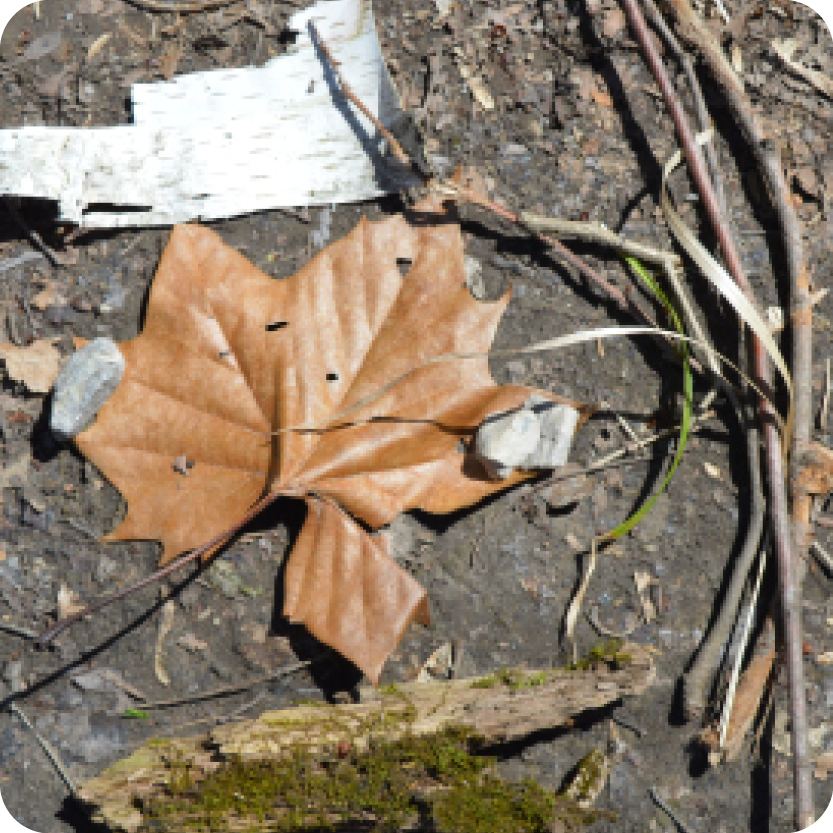 Photo Scavenger Hunt 