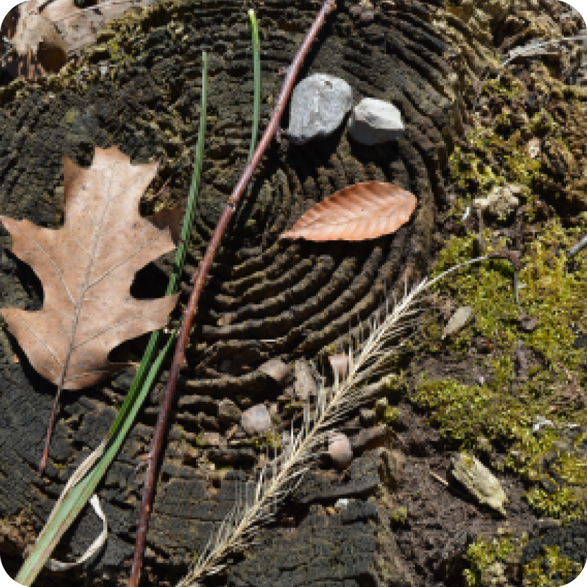 Photo Scavenger Hunt 