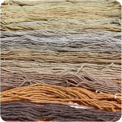 Intro to Working with Plant Based Natural Dyes