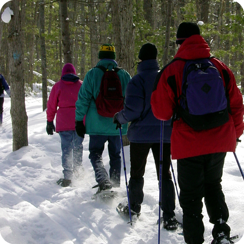 Snowshoe Adventure