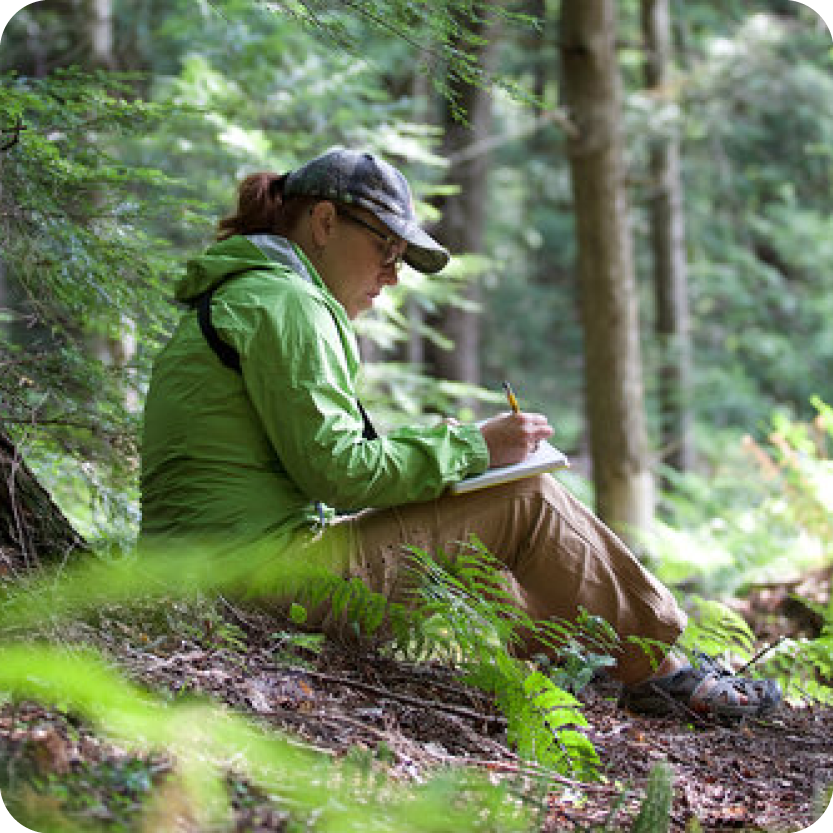 Slow Birding : Observing with Presence