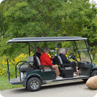 Spring Wildflowers by Golf Cart